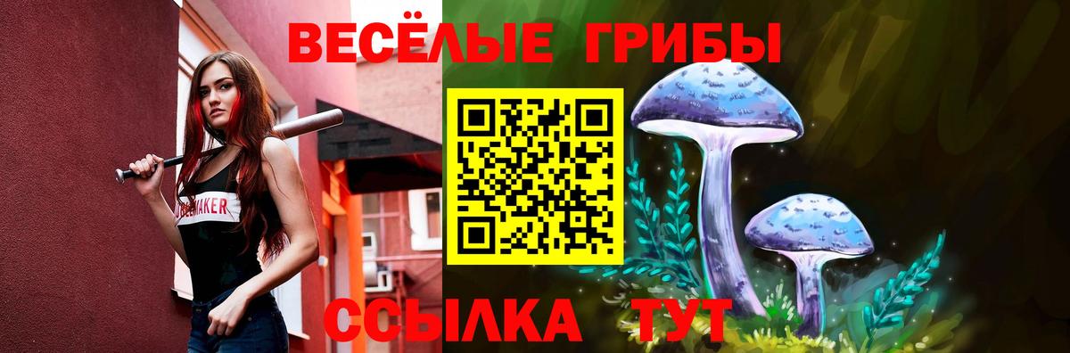 Псилоцибиновые грибы Magic Shrooms  Псилоцибиновые грибы Magic Shrooms  Заринск  Вход с VPN 